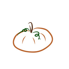 vector illustration of a pumpkin
