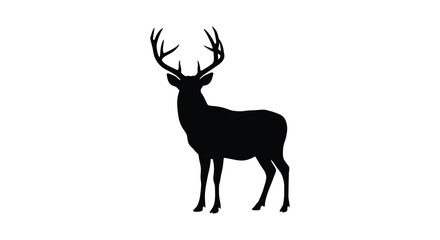Silhouette of a majestic stag with impressive antlers in profile view © mst