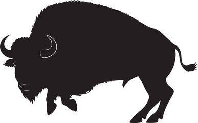 Silhouette of American buffalo, Buffalo, 