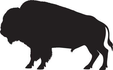 Silhouette of American buffalo, Buffalo, 