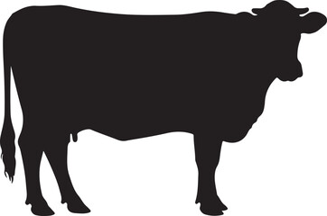 Silhouette of American buffalo, Buffalo, 