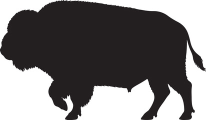 Silhouette of American buffalo, Buffalo, 
