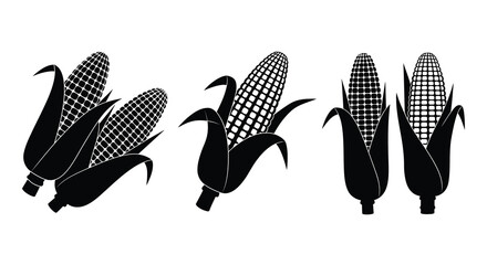 Simple black and white illustration showcasing four different corn stalks