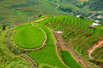 Rice fields on terraces of Mu Cang Chai, Vietnam.