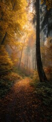 Naklejka premium Premium Autumn Forest Path with Golden Leaves and Misty Morning Light Authentic Seasonal Content for Lifestyle Marketing and Social Media Campaigns