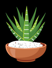 Spiky Striped Aloe Succulent Potted in a Terracotta Planter with White Rocks, a Stylish Vector for Botanical Collections and Decor	