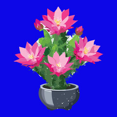 Striking Contrast of a Blooming Cactus with Bright Pink Flowers Against a Deep Electric Blue Background  © color