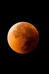 Premium High-Quality Lunar Eclipse Celestial Event Authentic Night Sky Astronomy for Modern Science and Lifestyle Social Media Content