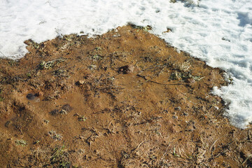 wet ground and melting snow