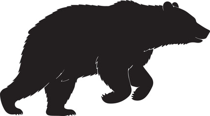Silhouette of bear, walking bear, 