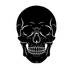 Human Skull Front View Drawing