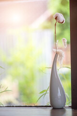 Minimalist Vase with Cotton Stalk Display