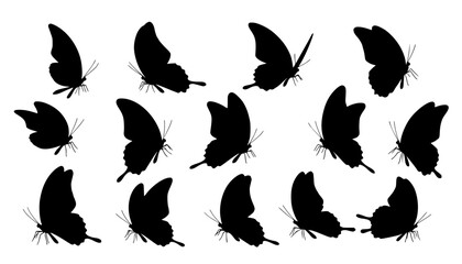Fototapeta premium A clean vector set of butterfly butterfly silhouettes in various poses on a clean white background vector style 
