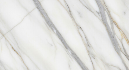 background of white feathers