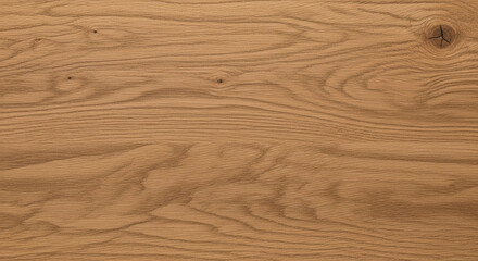 sand dunes in the desert