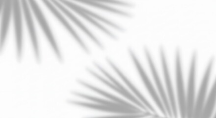 Fototapeta premium Soft palm leaf shadows on a clean white background, creating an abstract, minimalist, and sunlit tropical backdrop