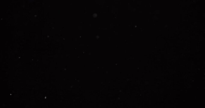 Dust particles swirling in darkness. Subtle light glints off the tiny specks, making them shimmer like stars in space. 