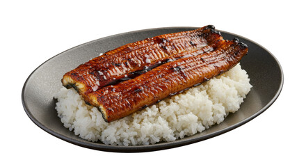 Japanese Unagi Donburi with Eel Rice isolated PNG with Transparent Background