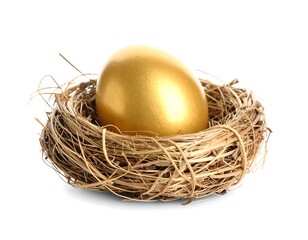 Obraz premium A Single Golden Egg Resting in a Natural Nest
