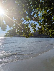Beach with leaves at the top with ray of sun shining through
