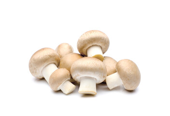 Champignon mushroom isolated on white background