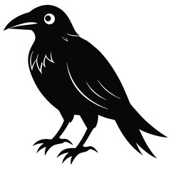 creepy crow silhouette vector illustration