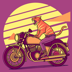girl on a motorcycle