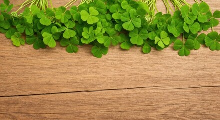 Clover plants with green leaves on a wooden background, top border