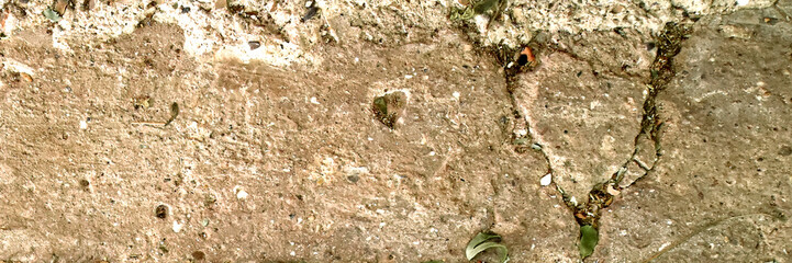 Grunge Wall Detail Texture. Aged wall texture with cracks and stains, ideal for rustic overlays, grunge designs, and vintage effects.