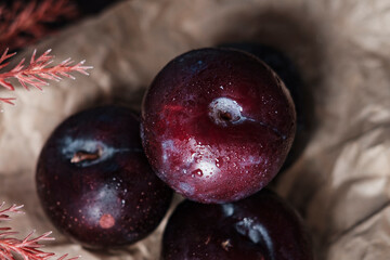 organic fresh ripe plum, seasonal fruit in rustic style
