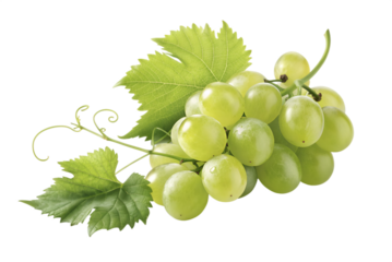 Fresh green grapes with leaves on a black background bunch of grapes fresh fruit