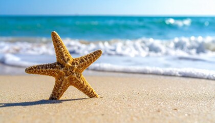 Starfish resting on the sandy beach as gentle waves roll in under a bright blue sky