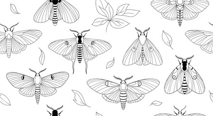 Detailed sketch style moth and floral elements seamless pattern.