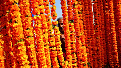 Vibrant Marigold Garlands Adorning a Market: A Celebration of Color and Tradition