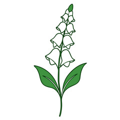 foxglove flower line art on white background