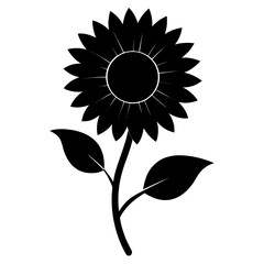 helianthus flower silhouette on white background