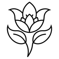  moth orchid lower line art on white background