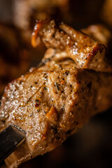 Closeup of juicy grilled meat skewer with spices