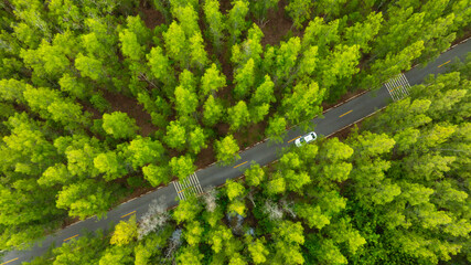 Aerial view of dark green forest road and white electric car Natural landscape and elevated roads...