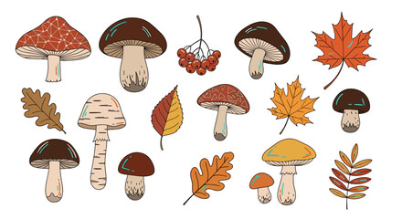 A charming collection of assorted autumn mushrooms and colorful fallen leaves in a whimsical illustration.