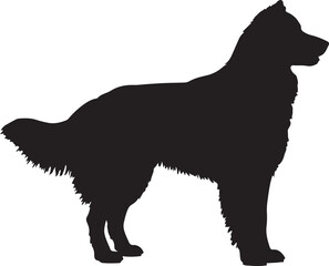 Silhouette of dog,dog walking silhouette,sitting dog