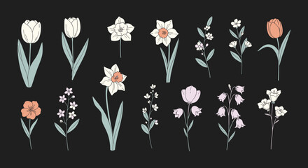 A delicate collection of hand drawn floral illustrations featuring tulips daffodils and various wildflowers in soft pastel colors on a dark background.