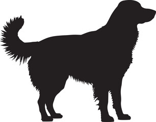 Silhouette of dog,dog walking silhouette,sitting dog