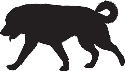 Silhouette of dog,dog walking silhouette,sitting dog