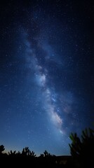 Fototapeta premium Night Sky Milky Way Galaxy Stars Dark Blue Cactus Silhouette