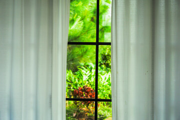 Window to Nature's Embrace: A window frame, inviting the lush green garden and nature's vibrant tapestry of life indoors. It's a celebration of light, form.