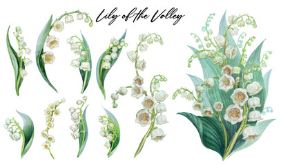 Clipart of Lily of the valley hand drawn watercolor isolated on white background