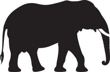 Elephant silhouette, Asian elephant, African elephant in silhouette
