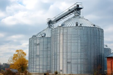 Obraz premium Feed Storage Bin. Large-Scale Agricultural Farm with Metal Grain Silos for Poultry Feed Storage