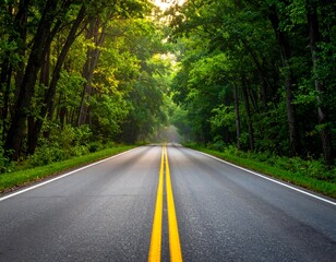 Fototapeta premium Scenic Country Road Through Lush Forest.